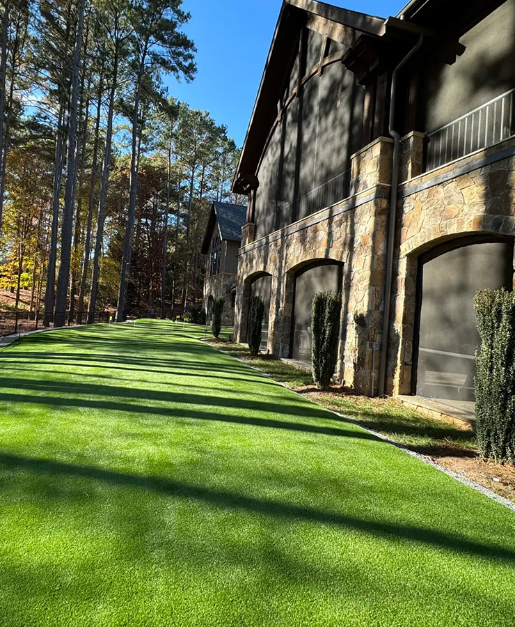 洗練された美しい庭