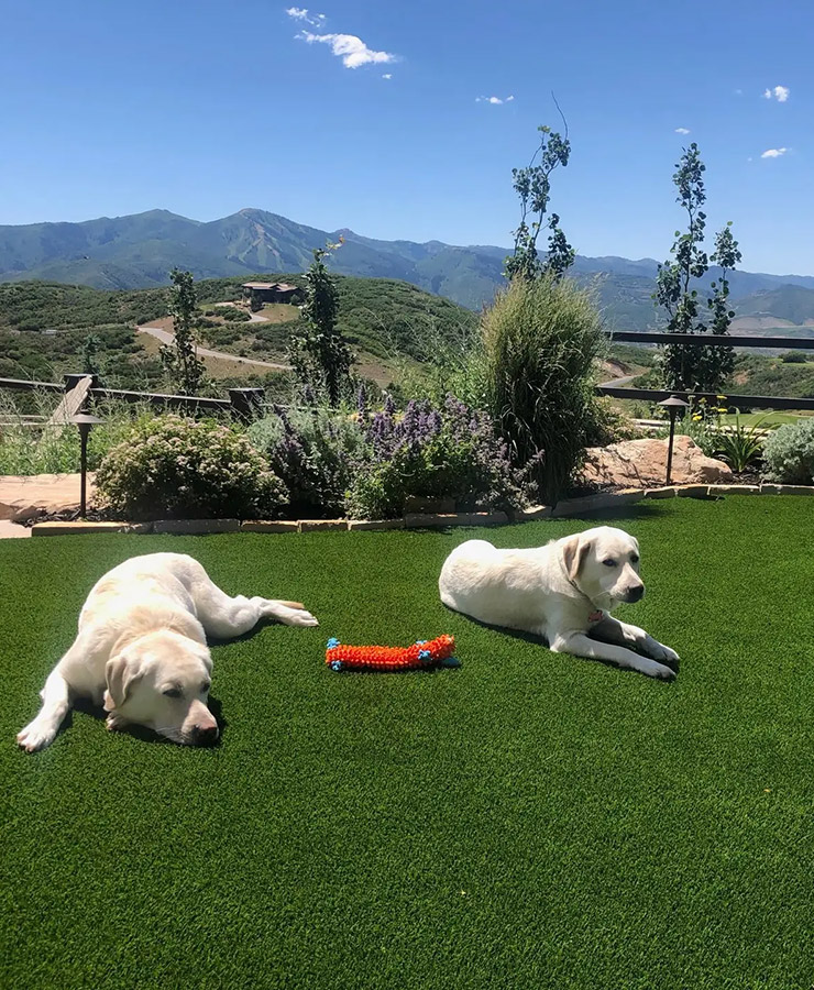 低摩擦設計の人工芝で作られた庭