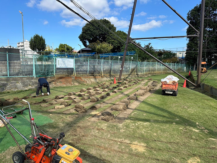 天然芝を全て剝いでいきます